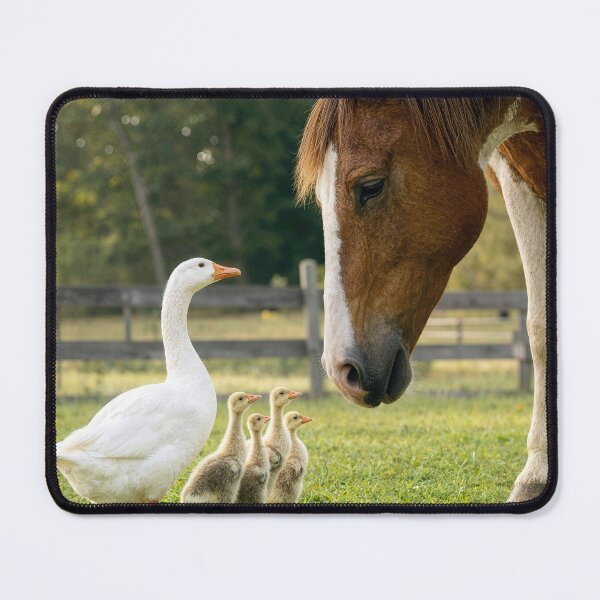 Item preview, Horse with Mother Goose and Goslings designed and sold by Maria Dryfhout.