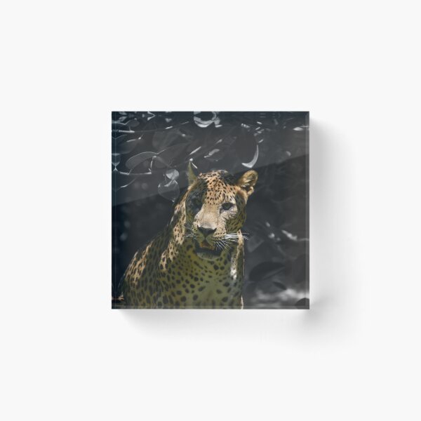Item preview, Leopard with black and white background designed and sold by El pato garabato.