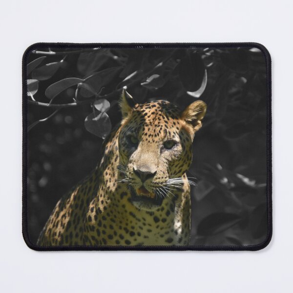 Item preview, Leopard with black and white background designed and sold by El pato garabato.