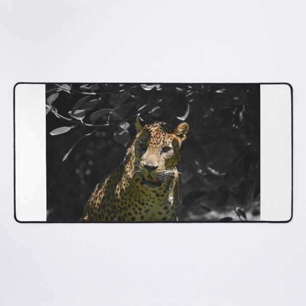 Item preview, Leopard with black and white background designed and sold by El pato garabato.
