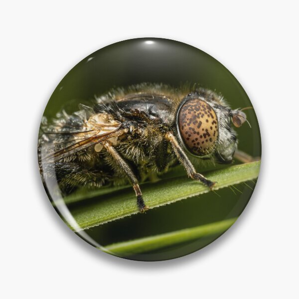 Item preview, Fly with Jeweled Spotted Eyes — Extreme Macro Wildlife Portrait designed and sold by Rabee Khalil Photography.
