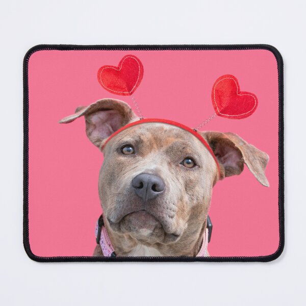 Item preview, Sweet Funny Pit Bull With Hearts  designed and sold by AnimaliaStar.