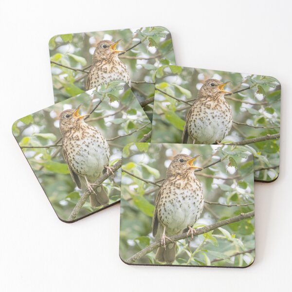 Item preview, Song Thrush designed and sold by LaurenTucker.