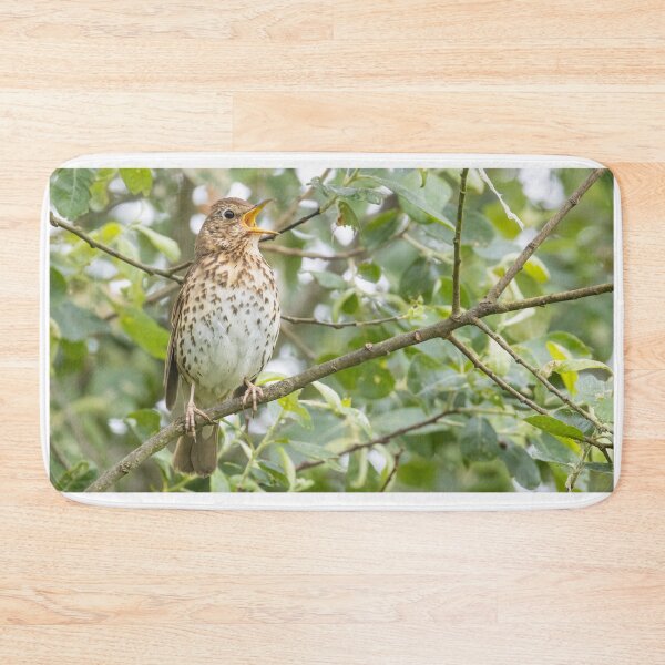 Item preview, Song Thrush designed and sold by LaurenTucker.