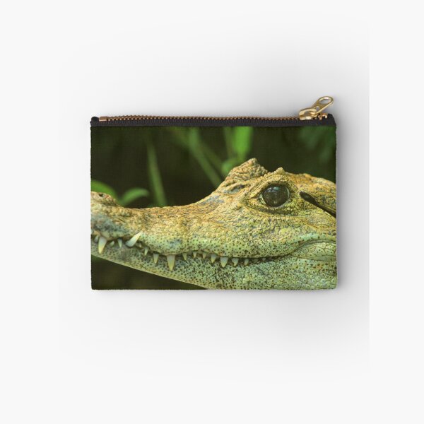 Item preview, Caiman designed and sold by rhamm.
