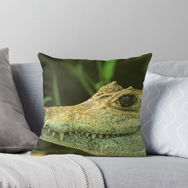 Item preview, Caiman designed and sold by rhamm.