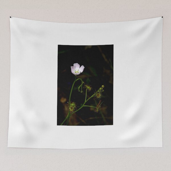 Item preview, Sundew In Flower designed and sold by GP1746.