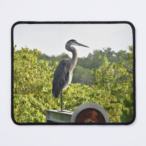Item preview, Great Blue Heron  designed and sold by LeslieMac713.
