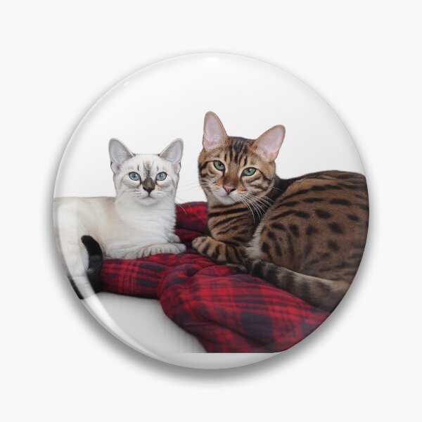 Item preview, Our Cats designed and sold by Rmoris7.