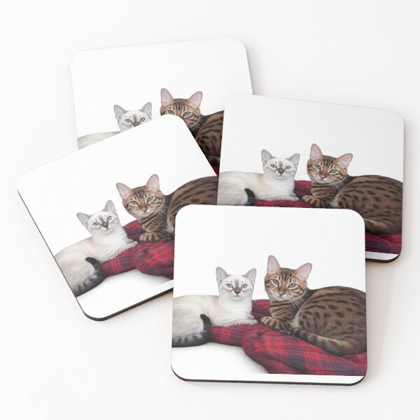 Item preview, Our Cats designed and sold by Rmoris7.