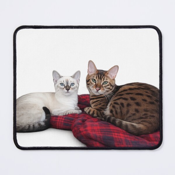 Item preview, Our Cats designed and sold by Rmoris7.
