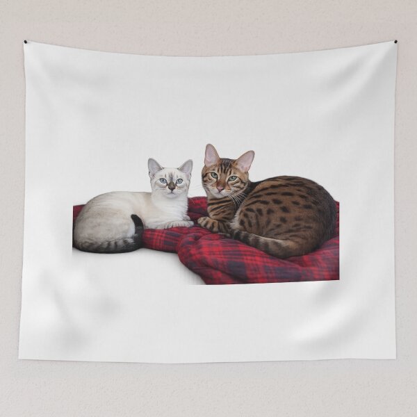 Item preview, Our Cats designed and sold by Rmoris7.