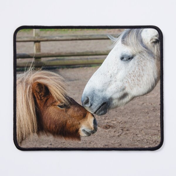 Item preview, Ponies designed and sold by JeanKellyPhoto.