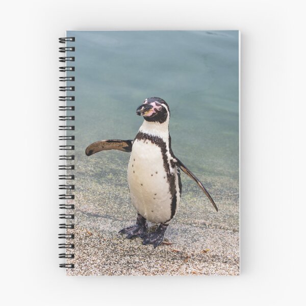 Item preview, Humboldt Penguin designed and sold by JeanKellyPhoto.