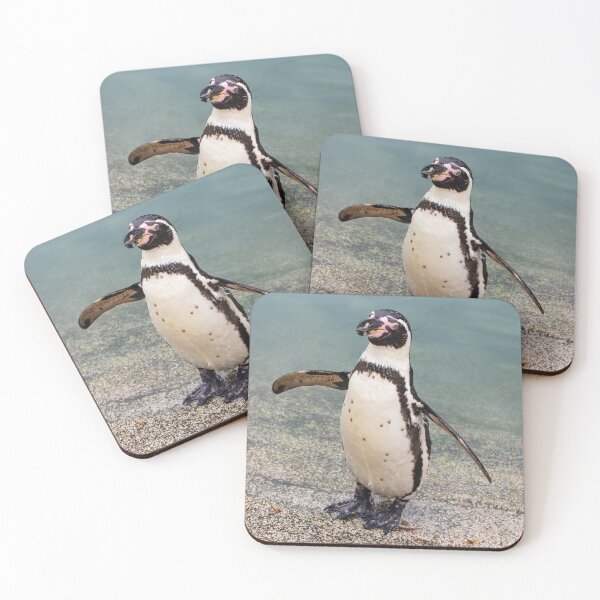 Item preview, Humboldt Penguin designed and sold by JeanKellyPhoto.