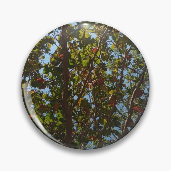 Artikelvorschau, Das Blätterdach der Natur unter sonnigem, blauem Himmel entworfen und verkauft von Dollacha.