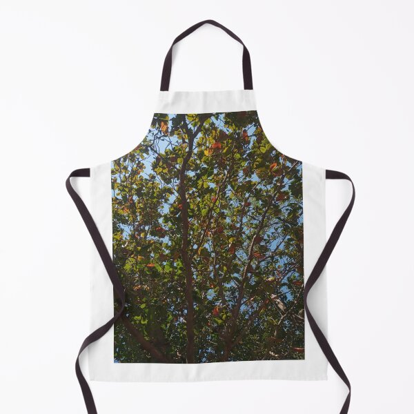 Item preview, Nature's Canopy Under Sunny Blue Sky designed and sold by Dollacha.
