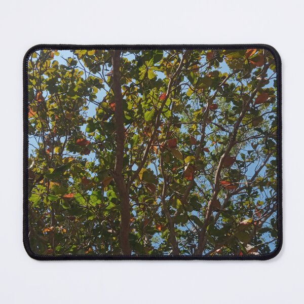 Item preview, Nature's Canopy Under Sunny Blue Sky designed and sold by Dollacha.