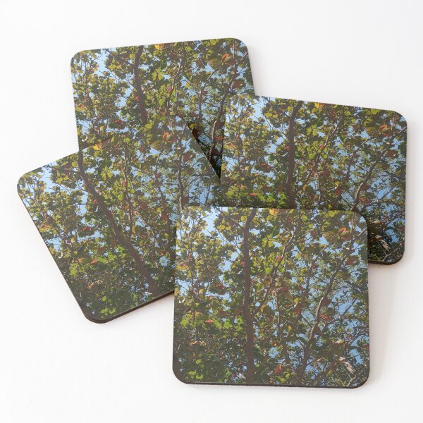 Item preview, Nature's Canopy Under Sunny Blue Sky designed and sold by Dollacha.