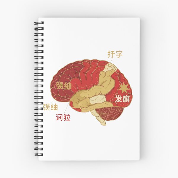 Item preview,  Chinese Mandarin brain language map topographic regions hanzi grammar neuroscience art gift designed and sold by language-des.