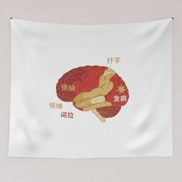 Item preview,  Chinese Mandarin brain language map topographic regions hanzi grammar neuroscience art gift designed and sold by language-des.