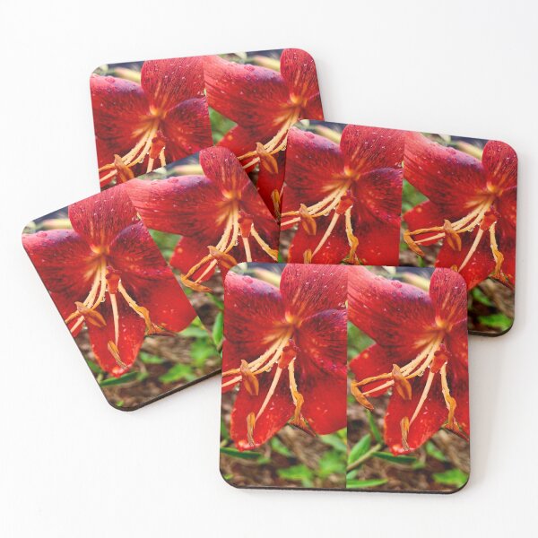 Item preview, Red lily designed and sold by Living Green in a Red State .