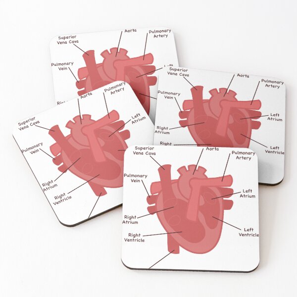 Item preview, Copy of Anatomical accurate Heart Poster designed and sold by mitosister.