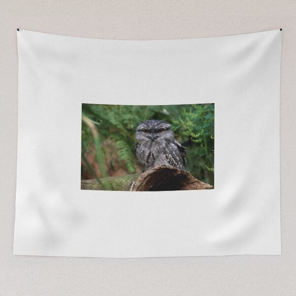 Item preview, Tawny Frogmouth designed and sold by GP1746.