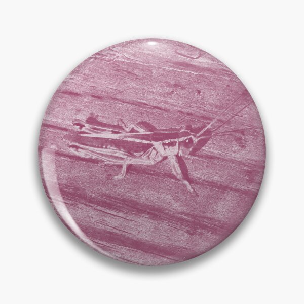 Item preview, Ornamentation designed and sold by Morning Glory.