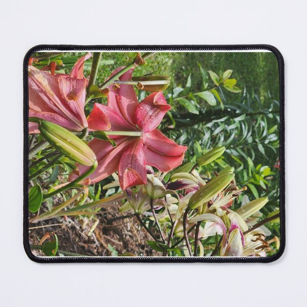 Item preview, Pink Tree Lily designed and sold by Living Green in a Red State .