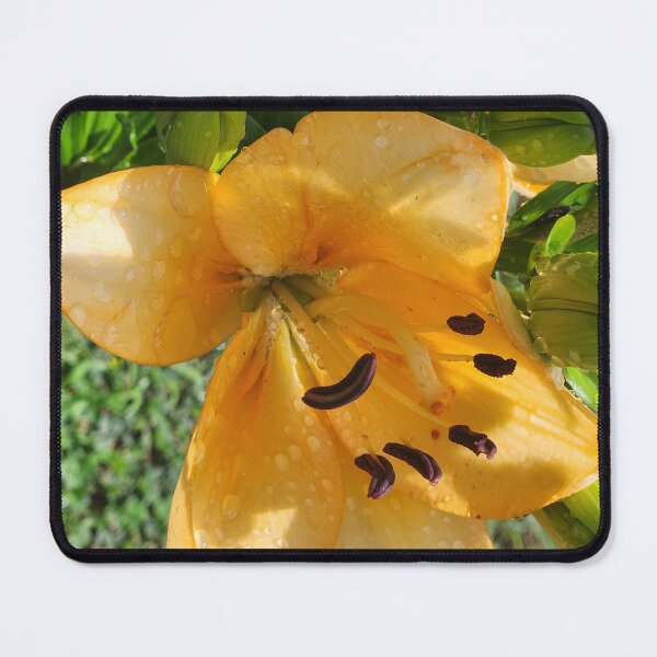 Item preview, Peach Tree Lily designed and sold by Living Green in a Red State .