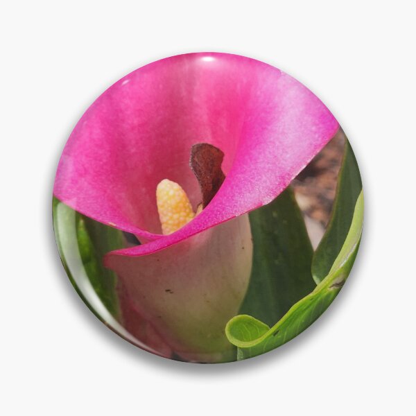 Item preview, Pink Cala Lily designed and sold by Living Green in a Red State .