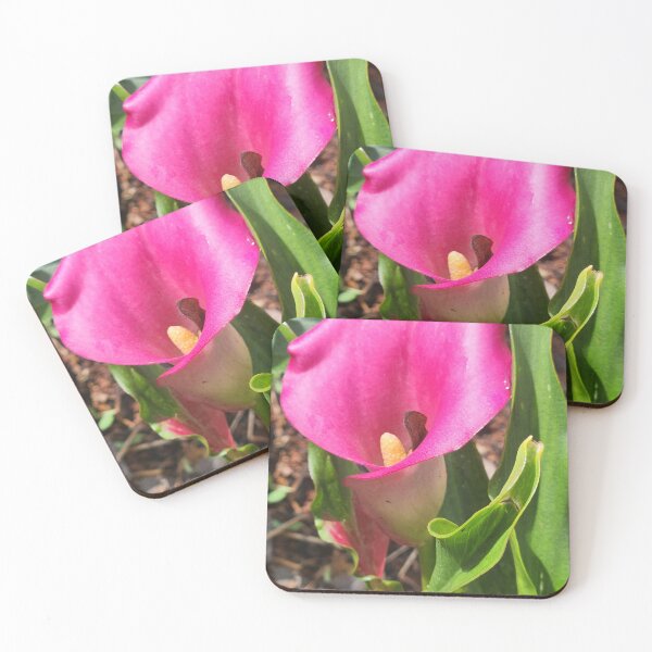 Item preview, Pink Cala Lily designed and sold by Living Green in a Red State .
