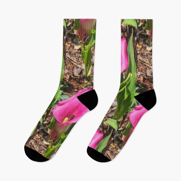 Artikelvorschau, Rosa Calla-Lilie entworfen und verkauft von Living Green in a Red State .