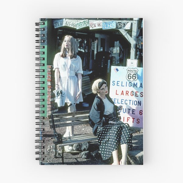 Item preview, Seligman, Arizona, February 1, 2001, Route 66, Clothing Store, Historic Walking Tour designed and sold by AMacGPhilly.