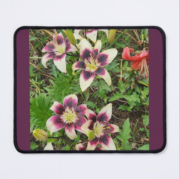 Item preview, Purple and White Lily designed and sold by Living Green in a Red State .