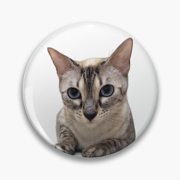 Item preview, Cat designed and sold by Rmoris7.