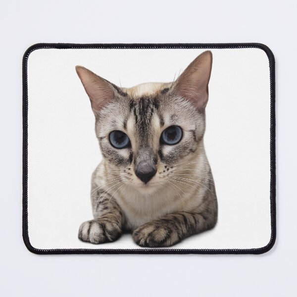 Item preview, Cat designed and sold by Rmoris7.