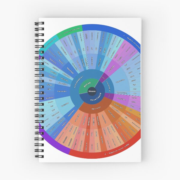 Item preview, Virus Classification by Baltimore System designed and sold by Microbiology Posters.
