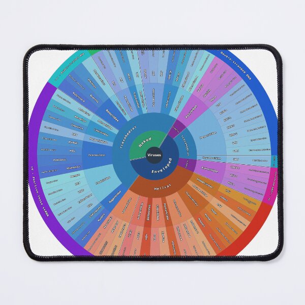 Item preview, Virus Classification by Baltimore System designed and sold by Microbiology Posters.