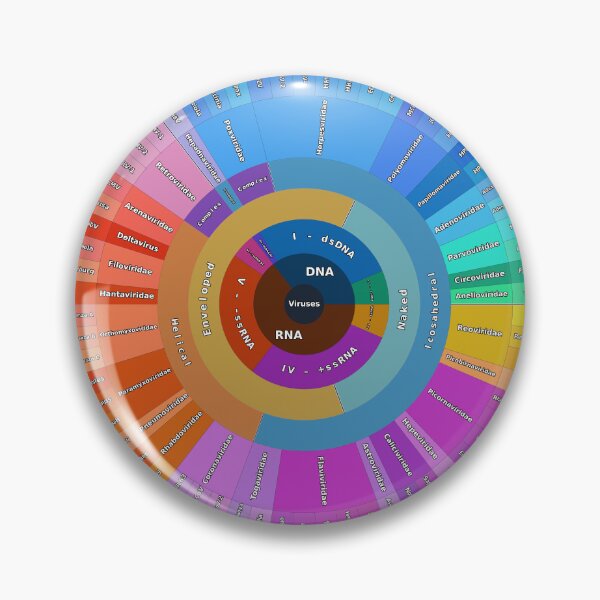 Aperçu de l'œuvre Classification des virus humains selon leur structure et leur génome créée et vendue par Microbiology Posters.