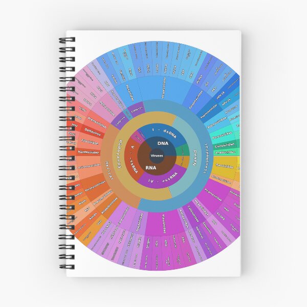 Item preview, Human Virus Classification by Structure and Genome designed and sold by Microbiology Posters.
