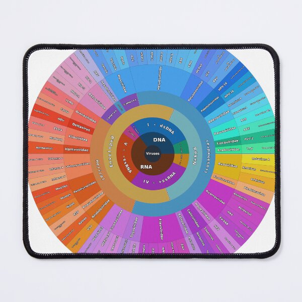 Item preview, Human Virus Classification by Structure and Genome designed and sold by Microbiology Posters.