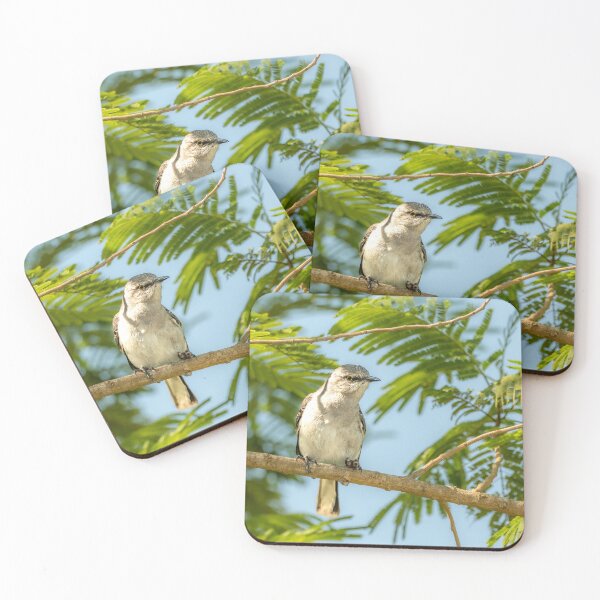 Item preview, Northern Mockingbird Perched Among Green Leaves designed and sold by Debra Martz.