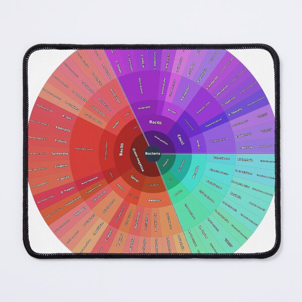 Item preview, Human Pathogenic Bacteria: Structural Classification designed and sold by Microbiology Posters.