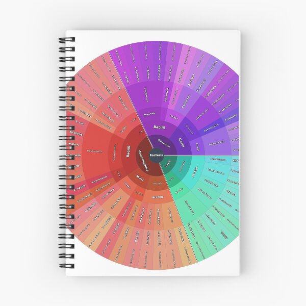 Item preview, Human Pathogenic Bacteria: Structural Classification designed and sold by Microbiology Posters.