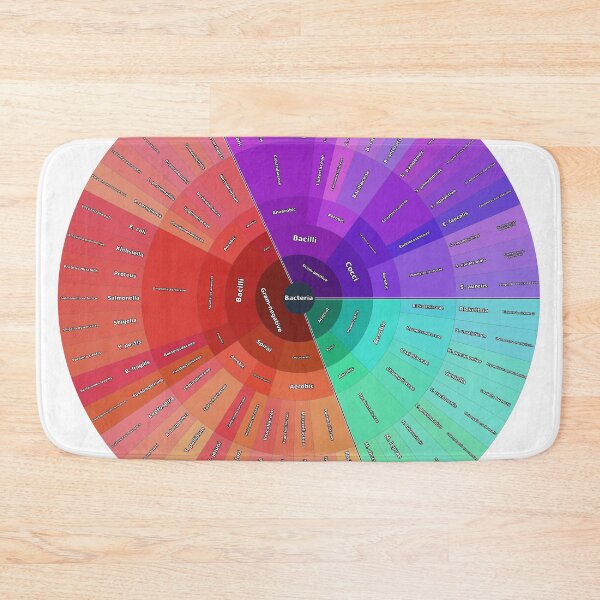 Item preview, Human Pathogenic Bacteria: Structural Classification designed and sold by Microbiology Posters.