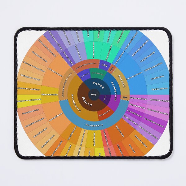 Item preview, Human Pathogenic Fungi: Structural Classification designed and sold by Microbiology Posters.