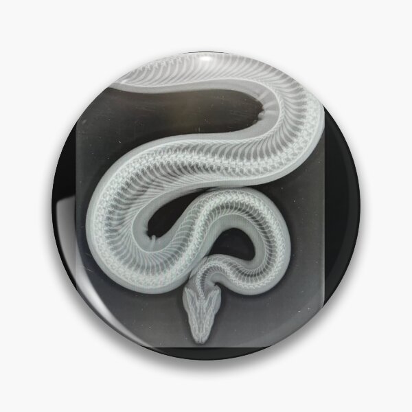 Item preview, Snake X-Ray designed and sold by Kool-Creations.