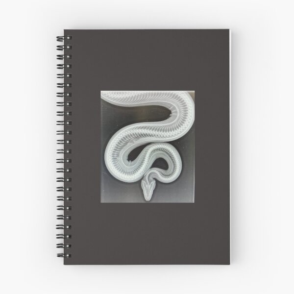 Item preview, Snake X-Ray designed and sold by Kool-Creations.